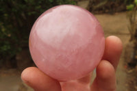 Polished Star Rose Quartz Spheres x 3 From Madagascar