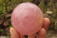 Polished Star Rose Quartz Spheres x 3 From Madagascar