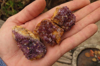 Natural Amethyst Clusters x 20 From Kwaggafontein, South Africa