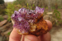 Natural Amethyst Clusters x 20 From Kwaggafontein, South Africa