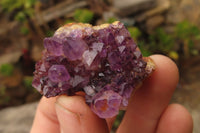 Natural Amethyst Clusters x 20 From Kwaggafontein, South Africa