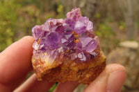 Natural Amethyst Clusters x 20 From Kwaggafontein, South Africa