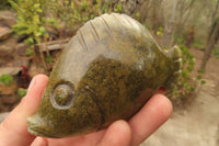 Polished Soapstone Fish Carvings x 6 From Zimbabwe