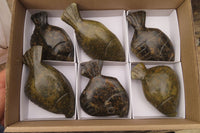 Polished Soapstone Fish Carvings x 6 From Zimbabwe