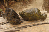 Polished Soapstone Fish Carvings x 6 From Zimbabwe