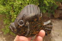 Polished Soapstone Fish Carvings x 6 From Zimbabwe