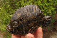 Polished Soapstone Fish Carvings x 6 From Zimbabwe