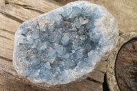 Natural Celestite Specimen x 1 From Sakoany, Madagascar