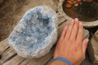 Natural Celestite Specimen x 1 From Sakoany, Madagascar