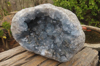 Natural Celestite Specimen x 1 From Sakoany, Madagascar