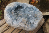 Natural Celestite Specimen x 1 From Sakoany, Madagascar