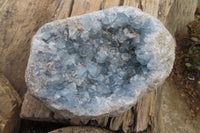 Natural Celestite Specimen x 1 From Sakoany, Madagascar