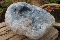 Natural Celestite Specimen x 1 From Sakoany, Madagascar