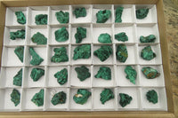 Natural Silky Malachite Specimens x 35 From Kasompe, Congo