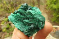 Natural Silky Malachite Specimens x 35 From Kasompe, Congo