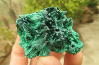 Natural Silky Malachite Specimens x 35 From Kasompe, Congo