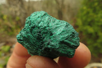 Natural Silky Malachite Specimens x 35 From Kasompe, Congo