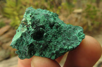 Natural Silky Malachite Specimens x 35 From Kasompe, Congo