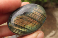 Polished Labradorite Galet / Palm Stones x 12 From Tulear, Madagascar