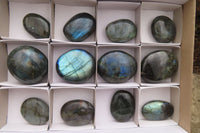 Polished Labradorite Galet / Palm Stones x 12 From Tulear, Madagascar