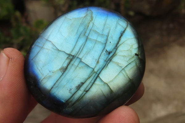 Polished Labradorite Galet / Palm Stones x 12 From Tulear, Madagascar