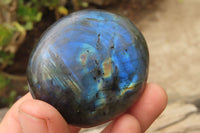 Polished Labradorite Galet / Palm Stones x 12 From Tulear, Madagascar