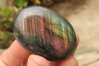 Polished Labradorite Galet / Palm Stones x 12 From Tulear, Madagascar