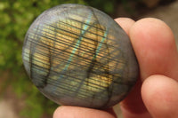 Polished Labradorite Galet / Palm Stones x 12 From Tulear, Madagascar