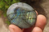 Polished Labradorite Galet / Palm Stones x 12 From Tulear, Madagascar