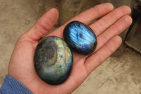 Polished Labradorite Galet / Palm Stones x 12 From Tulear, Madagascar