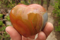 Polished Polychrome Jasper Hearts x 6 From Madagascar