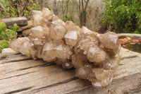 Natural Smokey Quartz Cluster x 1 From Luena, Congo