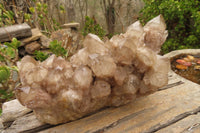 Natural Smokey Quartz Cluster x 1 From Luena, Congo