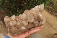 Natural Smokey Quartz Cluster x 1 From Luena, Congo