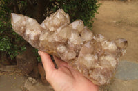 Natural Smokey Quartz Cluster x 1 From Luena, Congo