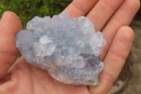 Natural Celestite Specimens x 12 From Sakoany, Madagascar