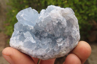 Natural Celestite Specimens x 12 From Sakoany, Madagascar