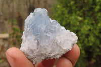 Natural Celestite Specimens x 12 From Sakoany, Madagascar