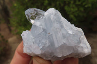 Natural Celestite Specimens x 12 From Sakoany, Madagascar