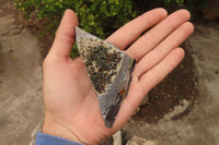 Natural Libethenite Crystals On Dolomite Matrix Specimens x 7 From Shituru, Congo