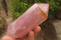 Polished Rose Quartz Crystals x 3 From Madagascar