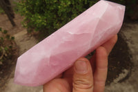 Polished Rose Quartz Crystals x 3 From Madagascar