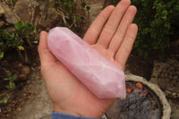 Polished Rose Quartz Crystals x 3 From Madagascar