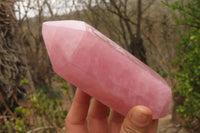 Polished Rose Quartz Crystals x 3 From Madagascar