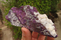 Natural Metallic Purpurite Cobbed Specimens x 6 From Erongo, Namibia