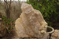 Natural Elestial Window Quartz Cluster x 1 From Madagascar