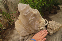 Natural Elestial Window Quartz Cluster x 1 From Madagascar