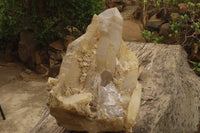 Natural Elestial Window Quartz Cluster x 1 From Madagascar