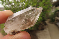 Natural Quartz Crystals x 30 From Brandberg, Namibia