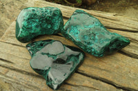 Polished Flower Malachite Free Forms x 3 From Congo